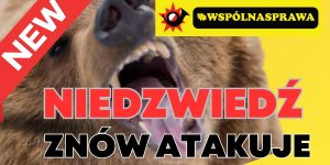 🐻 Kolejny atak niedźwiedzia na Podkarpaciu. Tym razem Morochów. ⚠️