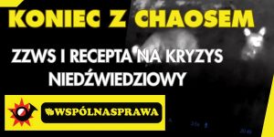 🤝 Trójkąt współpracy. RDOŚ, Samorządy i Myśliwi. Jedyny skuteczny plan na problem niedźwiedzi 🏛️🚨 🐻🛡️