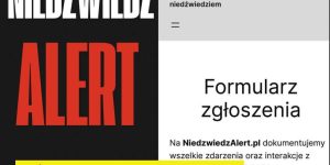 🚨 URUCHAMIAMY PORTAL https://niedzwiedzalert.pl ! Zadbajmy razem o bezpieczeństwo w Bieszczadach 🚨
