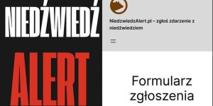 🚨 URUCHAMIAMY PORTAL https://niedzwiedzalert.pl ! Zadbajmy razem o bezpieczeństwo w Bieszczadach 🚨