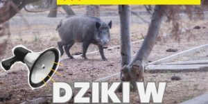 🔴 **Mówimy: SPRAWDZAM!** 🔴