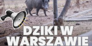 🔴 **Mówimy: SPRAWDZAM!** 🔴