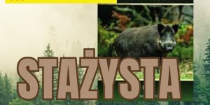 Stażyści - przedłużenie tradycji?