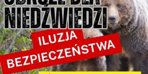 🚨 ILUZJA BEZPIECZEŃSTWA ZA PUBLICZNE PIENIĄDZE! Skandal z obrożami dla niedźwiedzi.