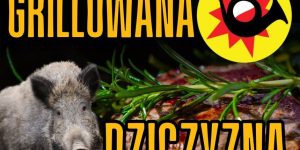 Sezon grillowy w Polsce ruszył pełną parą! Ogródki, działki i tarasy zapachniały klasyką, ale w tym roku warto przełamać rutynę. Zamiast kolejnej tradycyjnej karkówki czy kiełbasy z marketu, postaw na ruszt coś absolutnie wyjątkowego, zdrowego i głęboko zakorzenionego w polskiej tradycji – dziczyznę.
