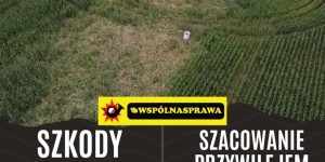 W narracji 🤢 Zielonych często pojawia się wątek przywilejów myśliwych.