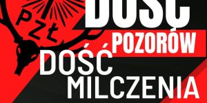 DOŚĆ POZORÓW.