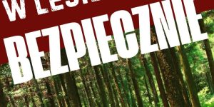 🌲 W POLSKIM LESIE JEST BEZPIECZNIE. WERYFIKUJEMY STRASZENIE SPOŁECZEŃSTWA!